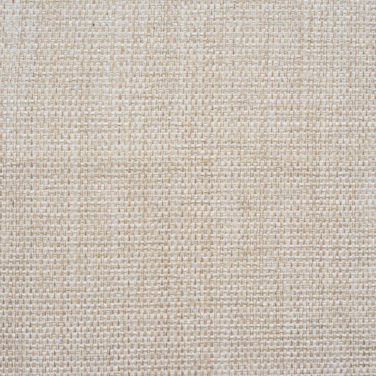Textured Fabric Sample