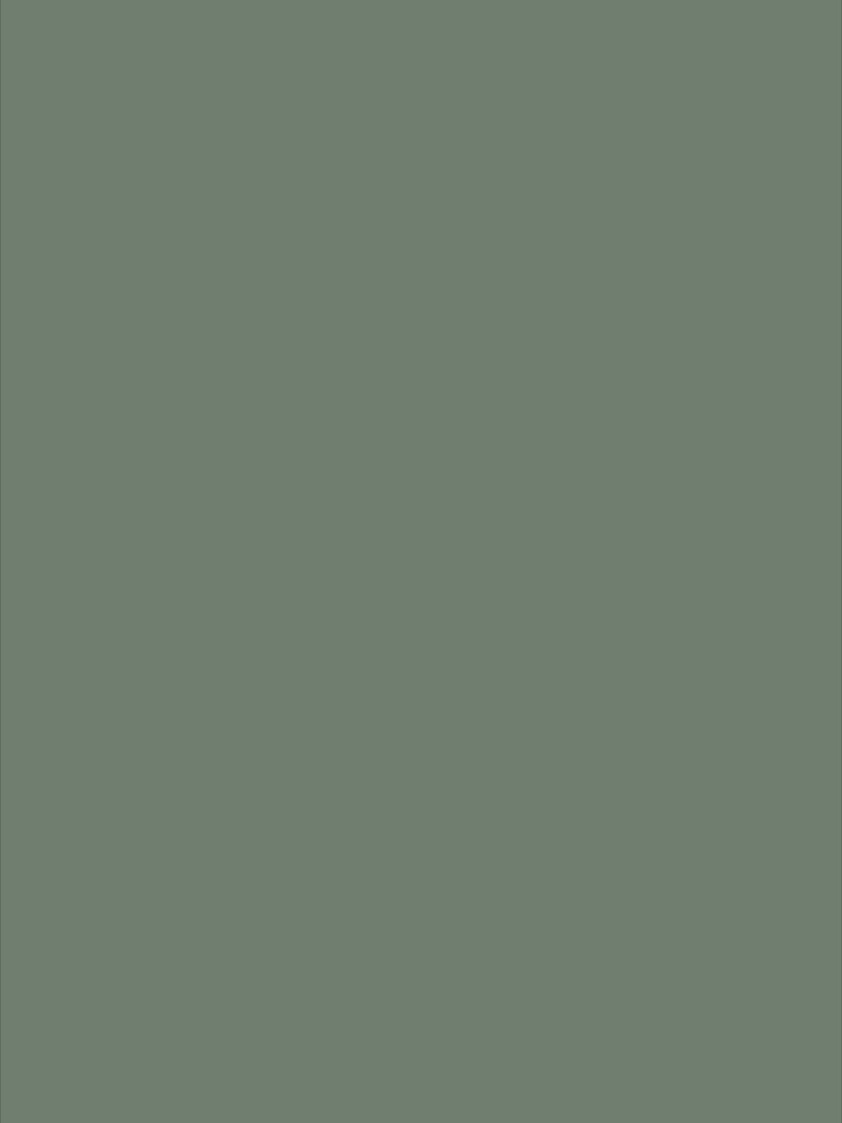 10m Green Wrapping Paper