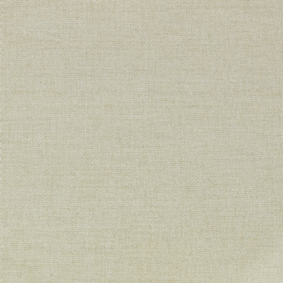 Velvety - Ivory