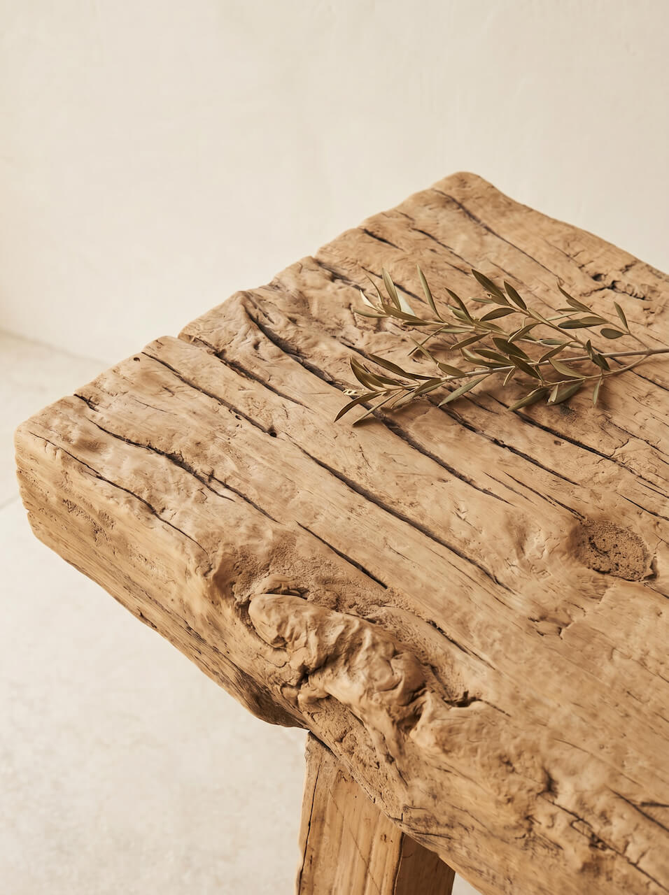 Wooden surface with a plant on a neutral background