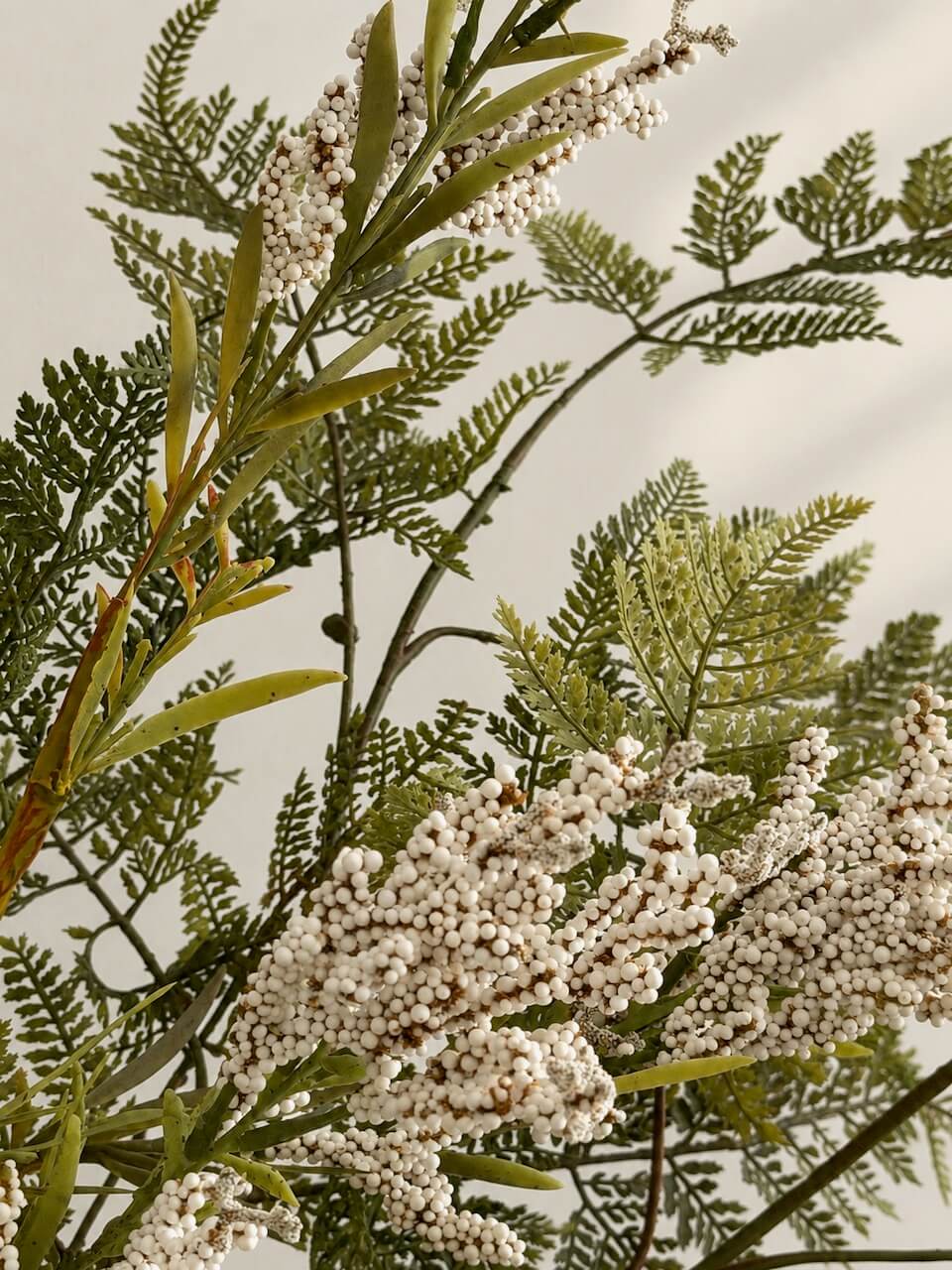 Close-up of a botanical arrangement with green feathery leaves and clusters of small white flowers on a light neutral background.