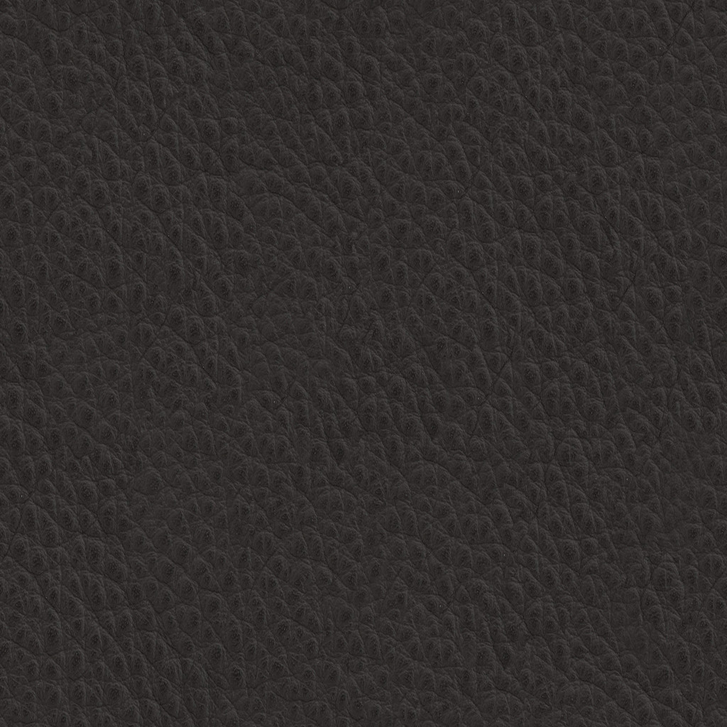 Fabric Sample - Leather - Brown