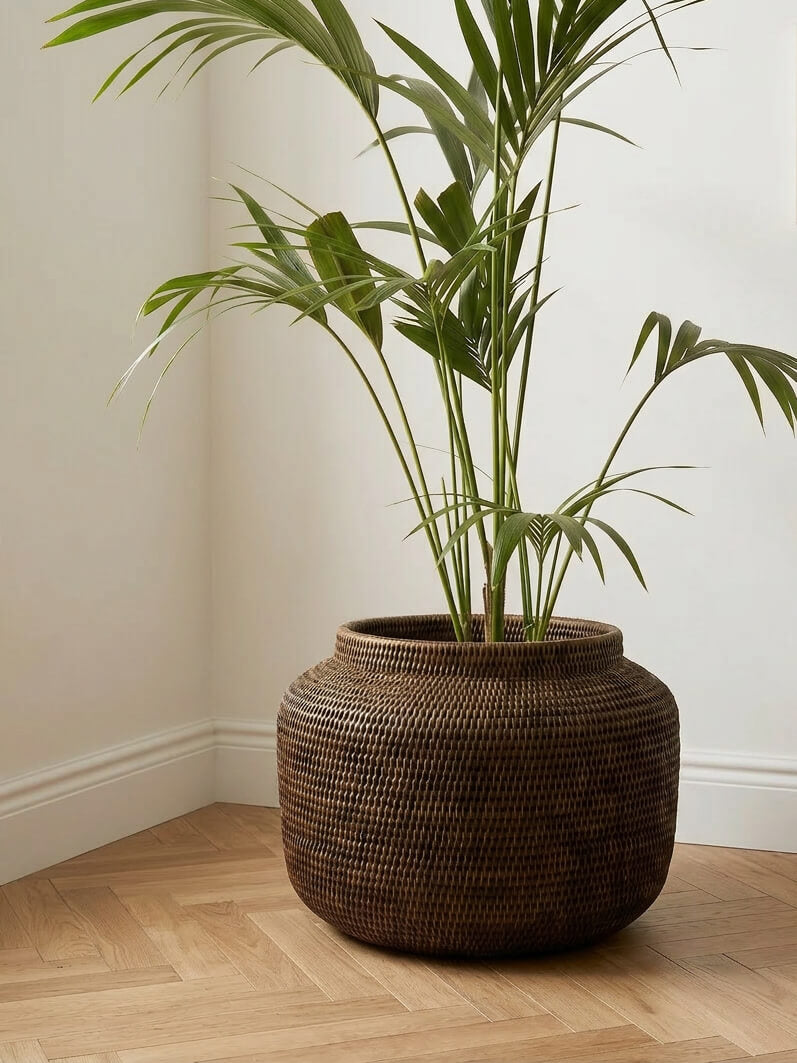 antique brown rattan planter large indoor plant pot cover with palm living room styling UK