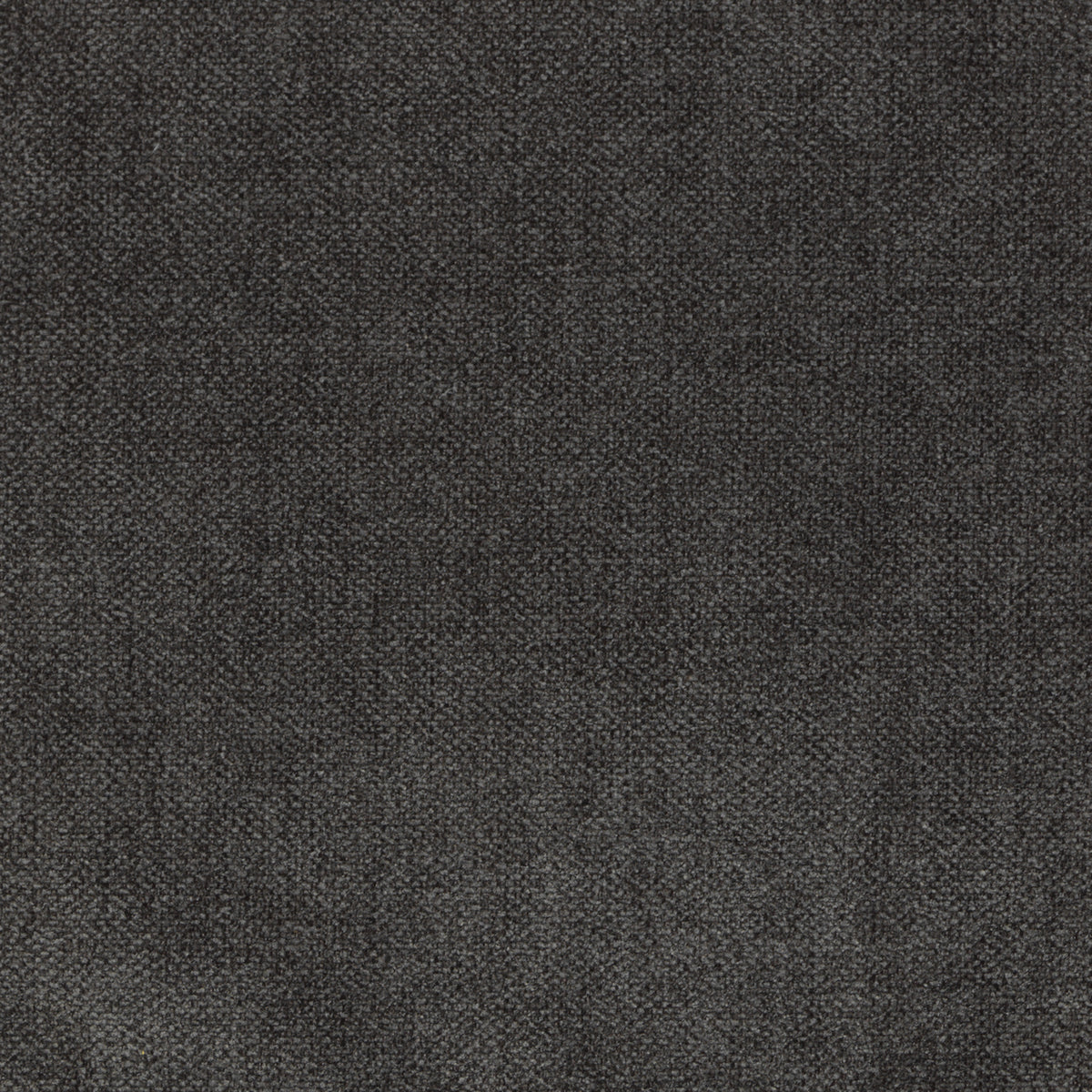 Velvety - Mole