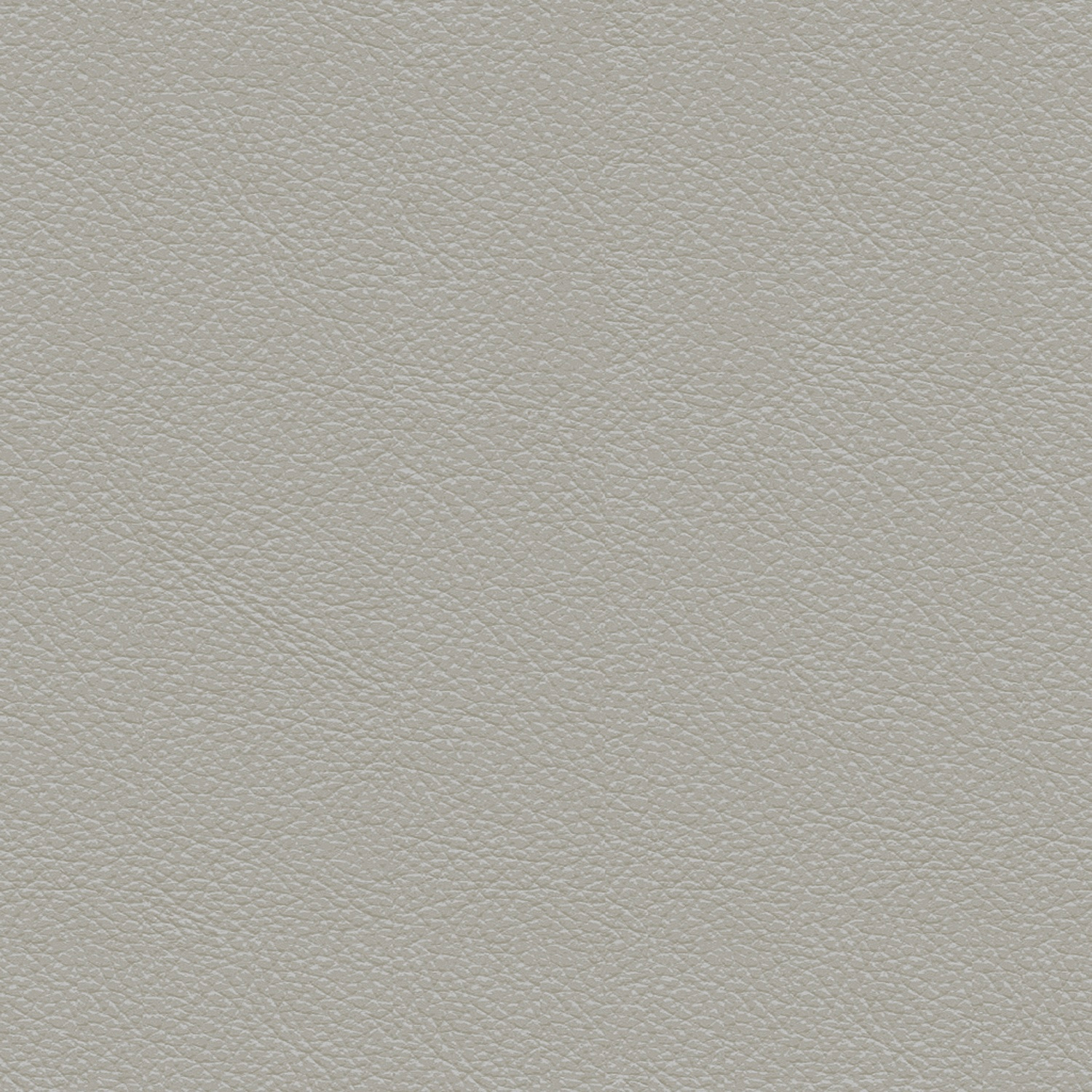 Fabric Sample - Leather - Dove