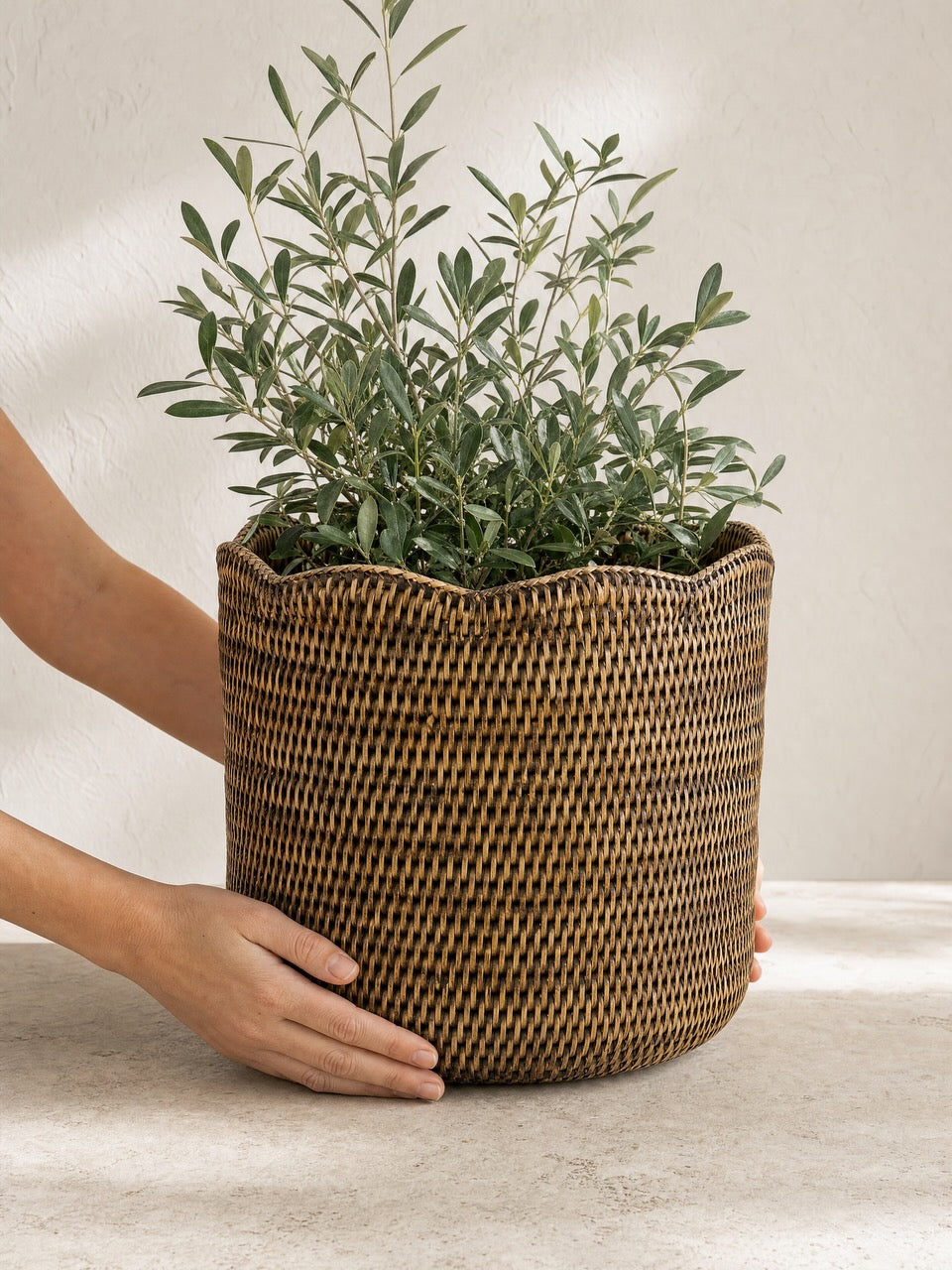 Skye Rattan Scallop Edge Planter - Antique Brown - Small